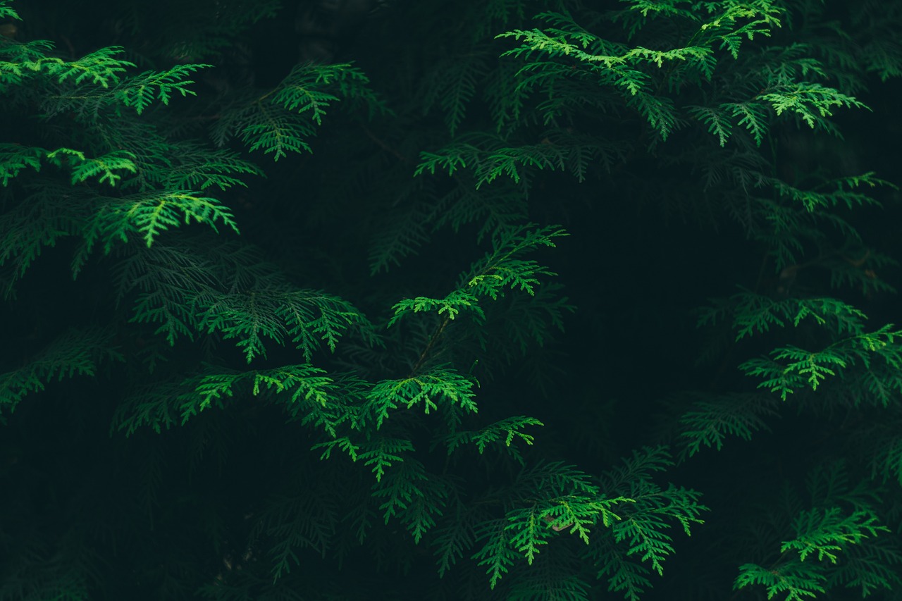 Creating a Balanced Daily Routine for Better Productivity